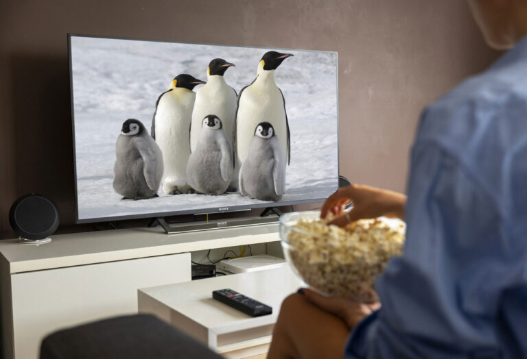 Bir kişi elinde patlamış mısırla penguenleri gösteren bir televizyonun önünde oturuyor.