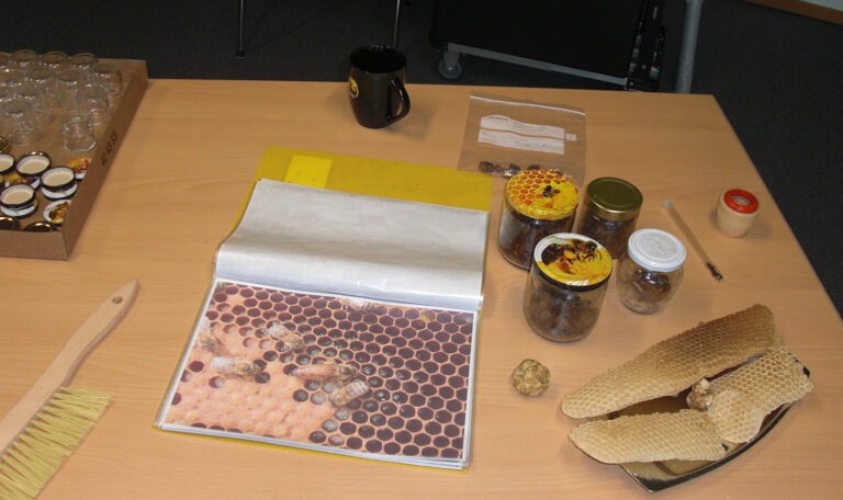Zu sehen ist Tisch, auf dem sich u.a. Honigwaben, Höniggläser und ein Fotoalbum mit Fotografien von Bienen zu sehen.