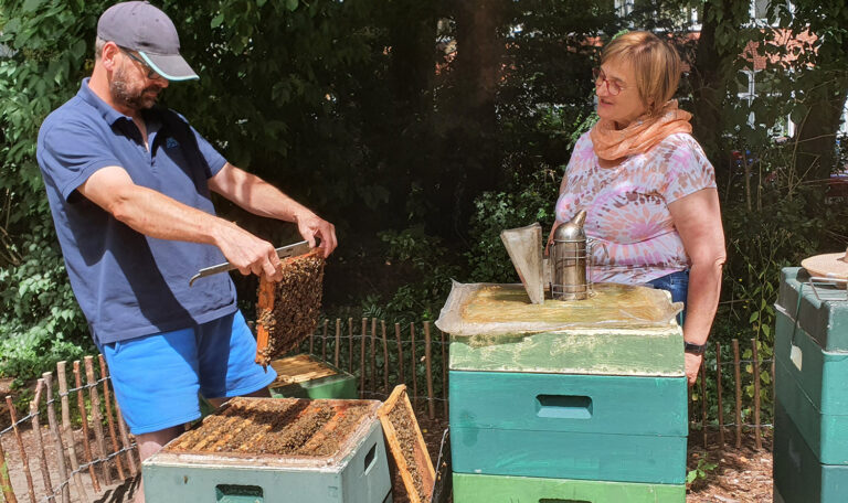 Пчеларят Маркус Руз вади пчелна пита от пчелен кошер.