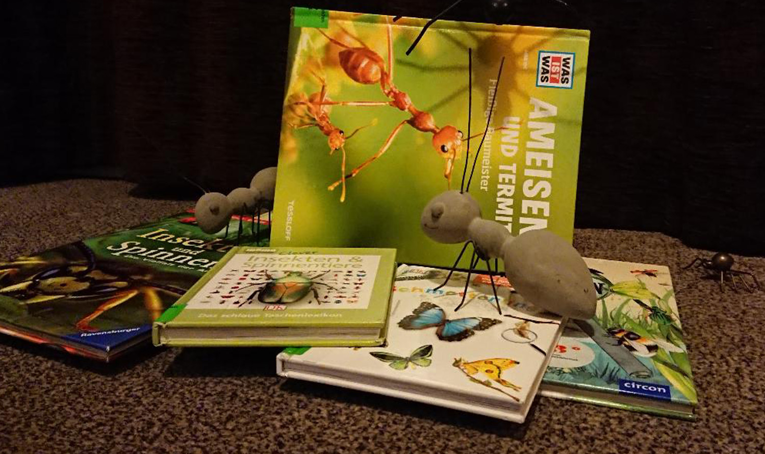 Insect books and ant figures.