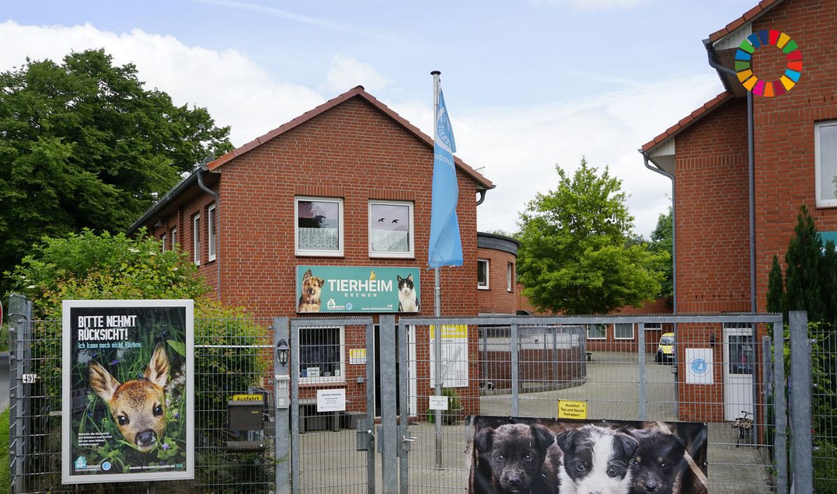 The building of the animal shelter